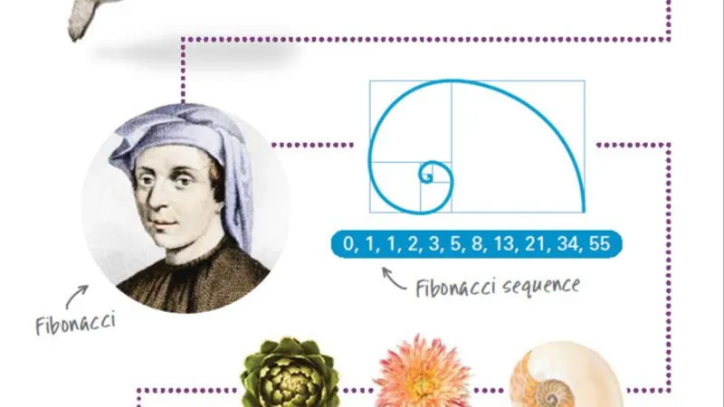 Lịch sử ra đời của công cụ Fibonacci