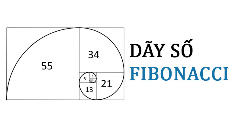 Fibonacci là gì?