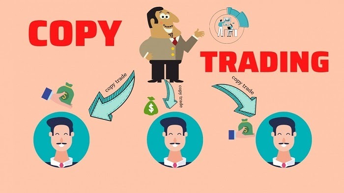 Các thực thể tham gia vào copy trade