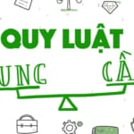 Cung cầu là gì? Quy luật cung cầu đối với thị trường