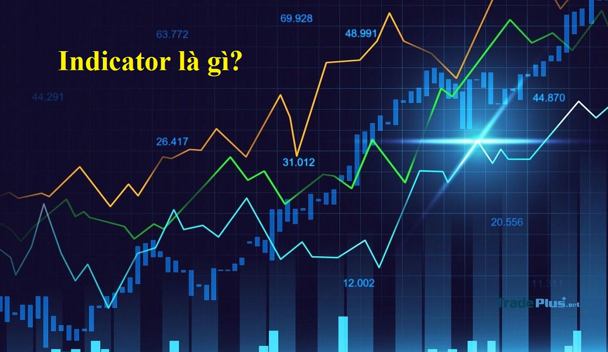 Indicator là gì?