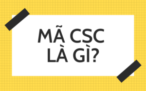 CSC là gì?