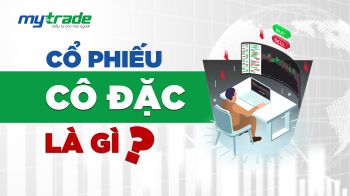 Cổ phiếu cô đặc là gì? Đầu tư cổ phiếu cô đặc Khó hay dễ?