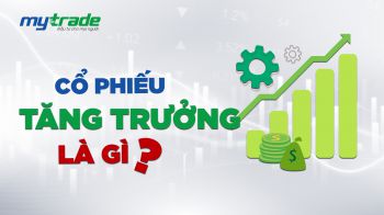 Cổ phiếu tăng trưởng là gì? Phương pháp để lựa chọn cổ phiếu tăng trưởng