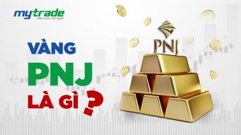 Vàng PNJ là gì? Có nên tích lũy và đầu tư bằng vàng miếng PNJ?